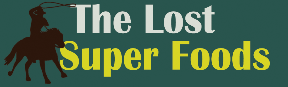 The Lost SuperFoods official title banner